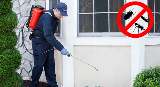 Feke Karınca İlaçlama böcek ilaçlama ve haşere kontrolü — ilaclama-tr.com